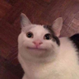 Meet your Posher, Antonio